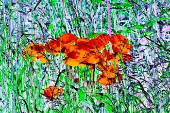 F 024C
